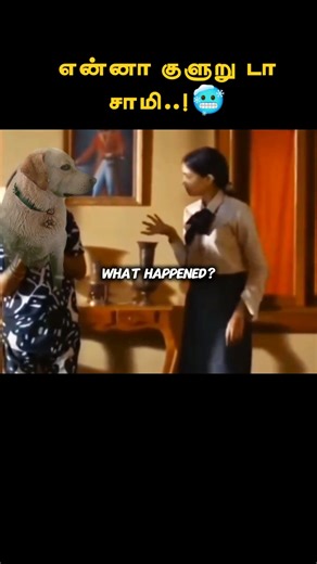 Enna Kuluru Da Sami 🥶🤣🐶 | Funny Dog Edit | Tamil Comedy #wenter #viral #trending #cold #luckyjack