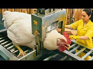 Unbelievable! Inside the Chicken Processing Plant | How Millions of Chickens Are Processed Daily