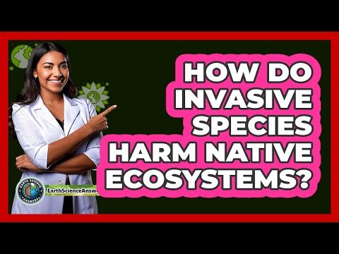 How Do Invasive Species Harm Native Ecosystems?
