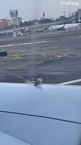 This pigeon wasn't ready...🤣✈️🕊️ #viralhog #animals #birds #humor | ViralHog