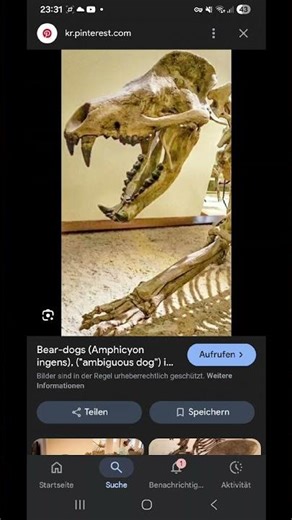 die erste hunde rasse der welt ( bone crusher dog )