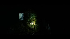 11K views · 666 reactions | Swamp Thing Official Final Trailer. - Supes | DC Fans United | Facebook