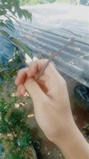 đã từng có đứa làm vậy ở năm 2019 🫠 #minecraft #viral #fyp