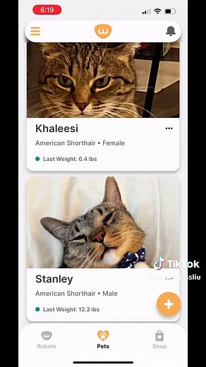 Litter Robot 4 Review: Features and Insights for Cat Owners