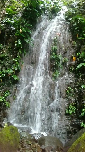 Waterfalls 4 "Chasing waterfalls, one adventure at a time" #waterfall #naturesbeauty #hilights #followersシ゚ #followme #goodday #nature #naturelovers #adventure #farmlife #fbreelsfypシ゚ #thankyouforwatchingmyreels #thankyouforyoursupport | Countryside Farm