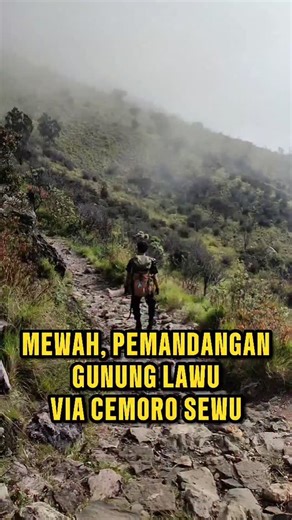Cak Youtube Edelweis on Instagram: "Seperti di negeri dongeng, keindahan pemandangan di atas pos 5 gunung lawu via cemoro sewu #gununglawu #pendaki #lawuviacemorosewu"