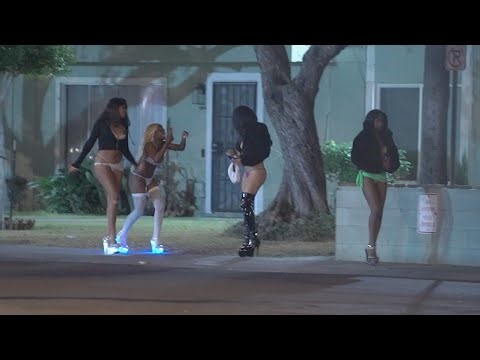 Four lizard musketeers of 27th avenue