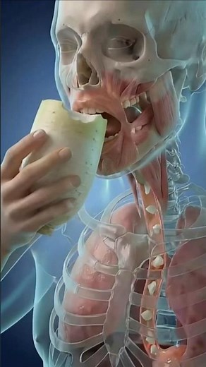 大根を一口食べると体の中で起きる驚きの変化