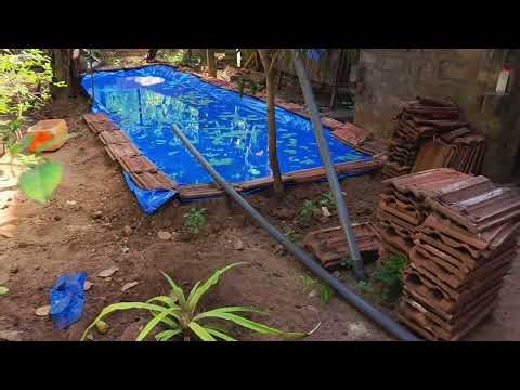 Backyard Azolla Pond Setup | Sustainable Fish & Azolla Farming – Ganu Builders