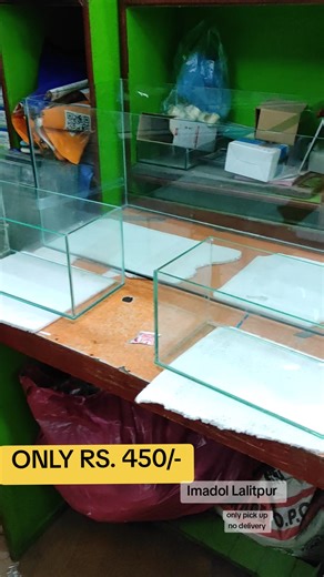 IMADOL FISH SHOP STORE LOCATION: IMADOL RATAMAΚΑΙ CHWOK Contact Us: 9840880087,9860834917 WhatsApp: 9840880087 (BETTER TO CALL FOR QUICK RESPONSE) Opens:9Am to 8Pm Everyday PLEASE DO VISIT OUR STORE IMADOL FISH SHOP OR DM US ON INSTAGRAM, WHATSAPP, TIK TOK FOR INQUIRY (No Delivery) #fffffffffffyyyyyyyyyyypppppppppppp #imadolfishshop #fishlover #fishkeeping #viralfishshop