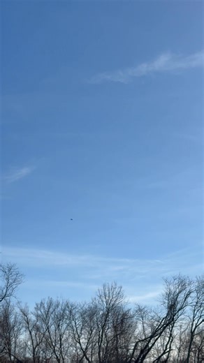 💙❤️🇺🇸❤️💙Go Navy💙❤️🇺🇸❤️💙 | Shelly Lynn Gibson