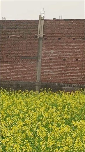 Habibi Albania रिमिक्स #love # alabinia song