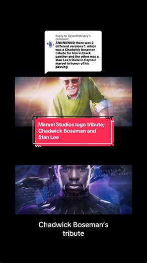 Marvel Studios Tribute to Chadwick Boseman and Stan Lee
