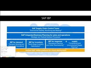 SAP IBP Demo Video