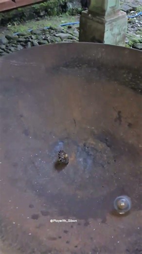 DIY Beyblade at home - Part 4 #shorts