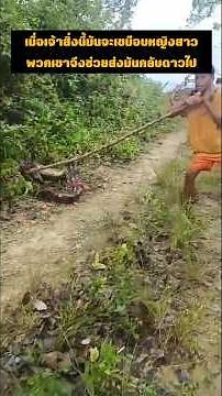 When this creature was about to devour a young woman, they helped send it back to its planet. #wi...