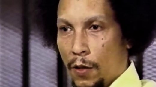 38人の沈黙する目撃者/The Witness（2015年）