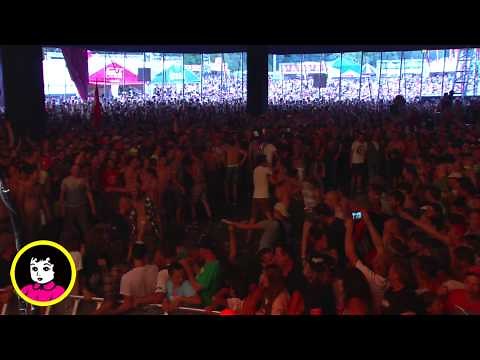 FIDDLER'S GREEN - Live at PINKPOP 2015 [Full Concert]