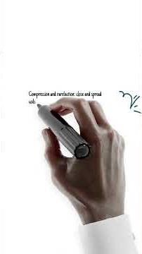 LONGITUDINAL WAVES. #doodleanimation