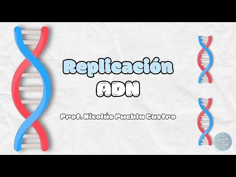 Replicación del ADN Fácil y Rápido