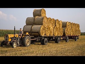 Ursus C-360 3P i 49 bel słomy z dźwiękiem silnika! [ENGINE SOUND]