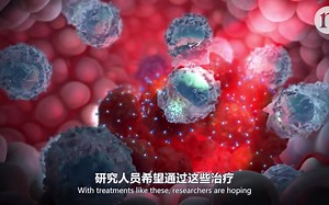 解码癌症免疫学 | 猎取隐藏的肿瘤 | 双语字幕 | 医学科普