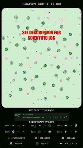 Microscopic Analysis of Flagellate and Volvox Swarming
