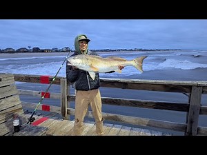 Fall Season Drum Run - Avon Fishing Pier Avon, NC