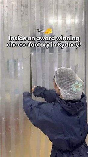 Inside an award winning Sydney cheese factory! 🧀🐄 #sydney #food #cheese