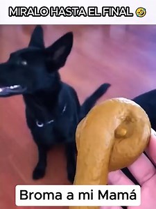 Queeeeeee HDP xd #humor #MrJeff | Jeff killer