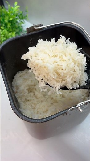 Rice in a Bread Maker 😳#breadmaker #wholewheatbread #rotimaker #attamaker #doughmaker #attamachine