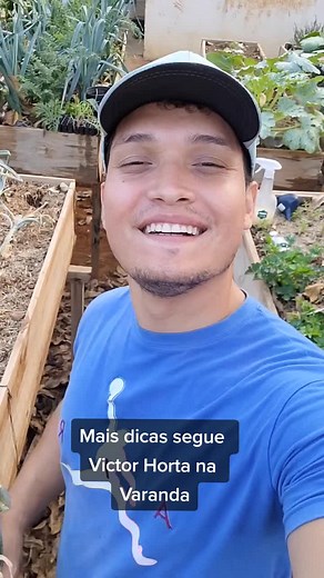 #horta #plantas #plantasdeinterior #hortaemcasa #garden #victor #plantarfasciitis #hortaorganica