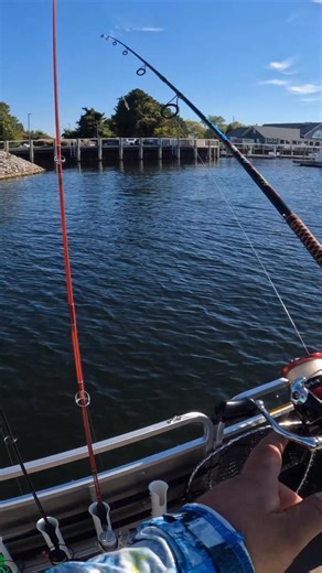 Big fun fishing! | Fishing with Forrest