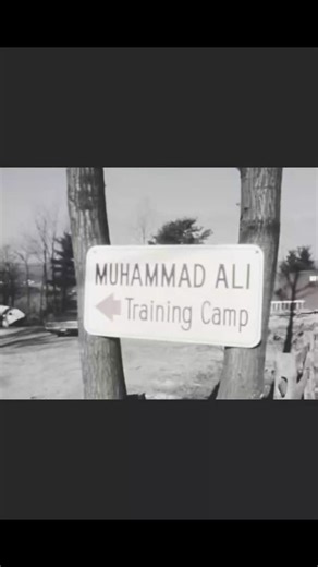 @𝐜𝐡𝐚𝐦𝐩𝐢𝐨𝐧𝐰𝐢𝐭𝐡𝐢𝐧𝐲𝐨𝐮 on Instagram: "Muhammad Ali 👑 the greatest of all time"