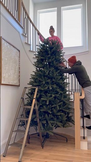 Set up our 12 foot tall Christmas tree with us! 🎄 #christmas #holidays #christmastree