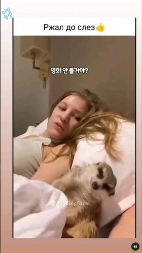 여친이랑 영화 보는데 졸릴 때 #더빙농장 #동물더빙 #미어켓