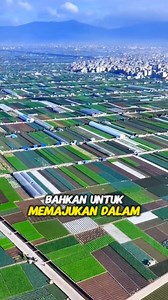 Bukti kemajuan China dalam sektor pertanian | amazing China | pertanian China #fyp #trending #viral #reels #shorts #vod #fbpro #facebookpro #pemula #pertanian #agriculture #farming #perkebunan #kebun #gardening #garden #harvesting #berkebun #China #pertanianChina #bertani | Mardianto Berkebun
