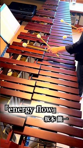 マリンバ1台で1人再現｜『energy flow』坂本龍一