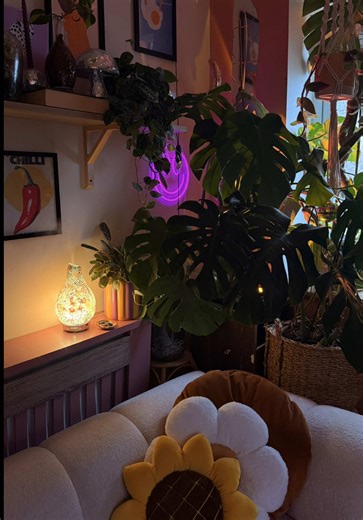 January Moon: Fresh Beginnings and Home Cleaning Tips