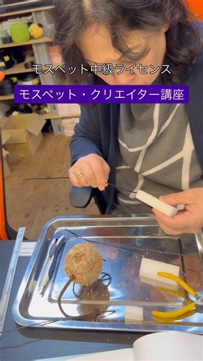 ハンドメイド+植物🌱成長する苔玉アート『モスペット』ライセンス講座【中級-モスペットクリエイター】 #Shorts #モスペット #ハンドメイド #かわいい