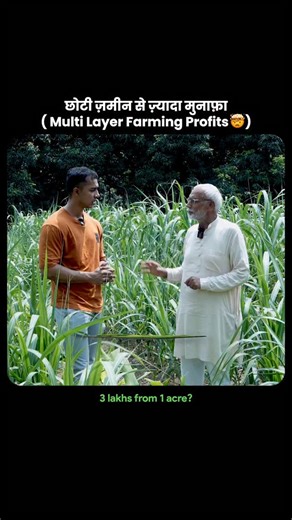 Theagritalkshow on Instagram: "Multi-Layer Farming | Rs. 4 Lakhs Per Acre 🤯 | Agritalk by Abhinav Roy | #shortshorts"