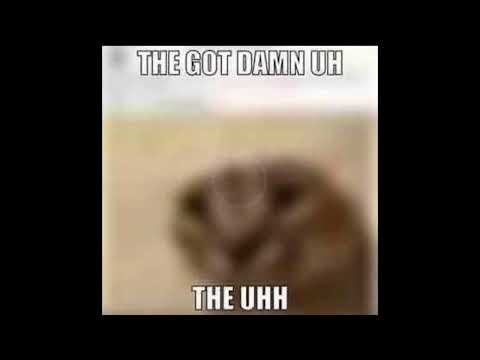 "the god damn uh, the uhh" - polygon donut, 2022