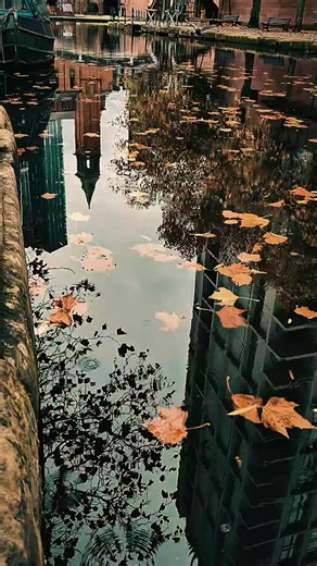 Manchester #manchester