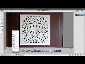 Photoshop Elements 2021 Tutorial Using the Paint Bucket Tool Adobe Training