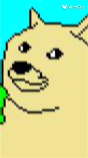 mi foto de perfil por año