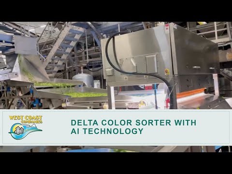 Delta Technology Corporation Color Sorter
