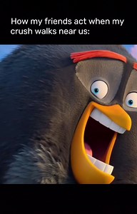 How Friends Act When Your Crush Is Around — Angry Birds Meme
