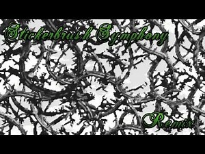 Donkey Kong Country 2 - Stickerbrush Symphony Remix (Bramble Blast)