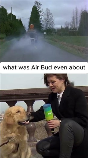 Re-Watching Air Bud Is A Wild Experience...