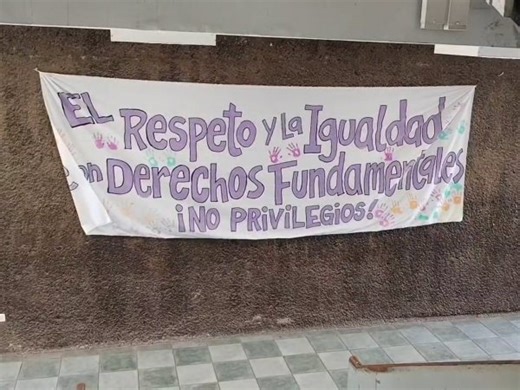 ANEF denuncia despido de trabajadora con licencia médica